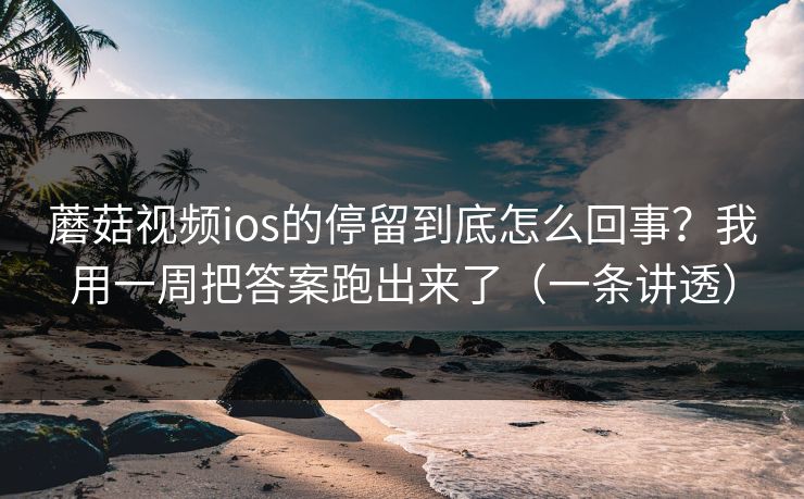 高级教练 - 林嘉敏