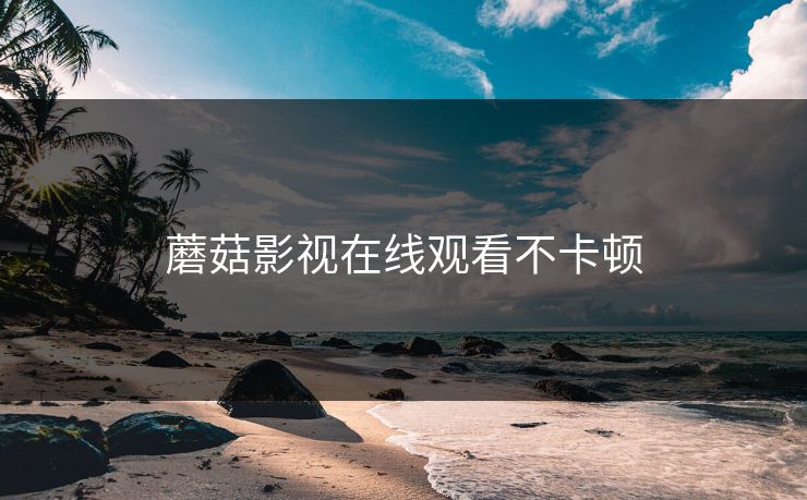蘑菇影视在线观看不卡顿