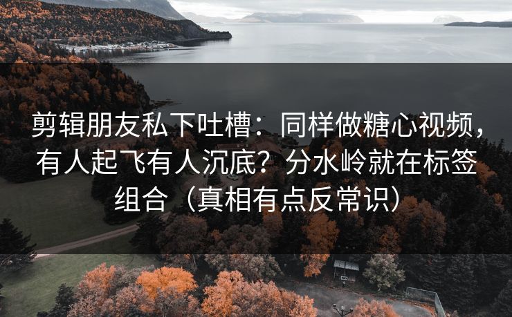 剪辑朋友私下吐槽：同样做糖心视频，有人起飞有人沉底？分水岭就在标签组合（真相有点反常识）