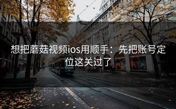 想把蘑菇视频ios用顺手：先把账号定位这关过了