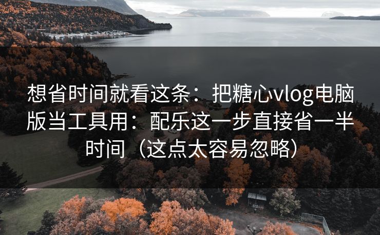 想省时间就看这条：把糖心vlog电脑版当工具用：配乐这一步直接省一半时间（这点太容易忽略）